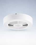 Telecamera Wi-Fi Audio Video Nascosta in Rilevatore di Fumo